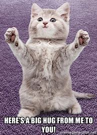 Image result for How Much for a Hug Cat Meme