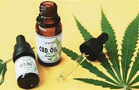Image result for CBD Cannabis
