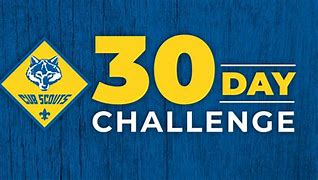 Image result for Ship 30-Day Challenge