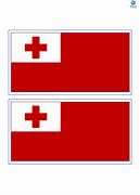Image result for Tongan Flag Design