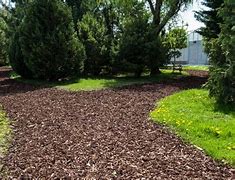 Image result for Wood Chip Front Yard