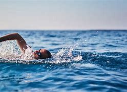 Image result for Sea Swimming