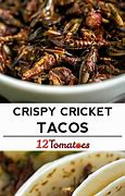 Image result for Nutrients in Cricket Tacos