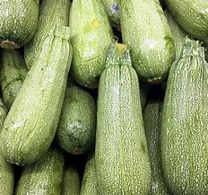 Image result for Grey Lines On Zucchini Squash