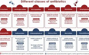 Image result for Antibiotic Action