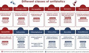 Image result for Antibiotic Drug Classes Chart