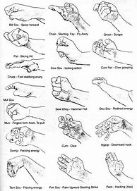 Image result for Martial Arts Hand Techniques