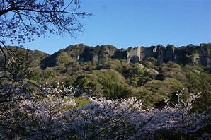 Image result for 鋸山 桜