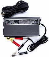 Image result for 48 Volt Battery Conditioner