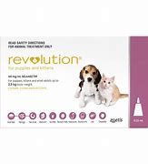 Image result for Revolution Cat Flea Medication