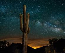 Image result for Arizona Desert Night Sky