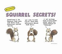 Image result for Funny Squirrel Cartoon Jokes