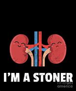 Image result for Awkward Yeti Kidney Stones