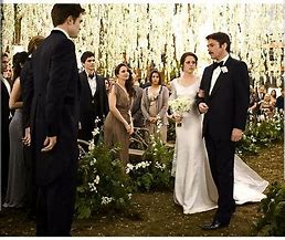 Image result for Twilight Breaking Dawn PT 1