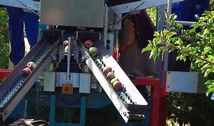 Image result for Fruit Picking Lifts