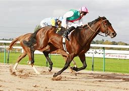 Image result for Racing Horse and Jockey