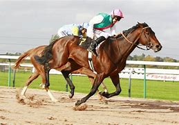 Image result for Pink Jockey Race Horse