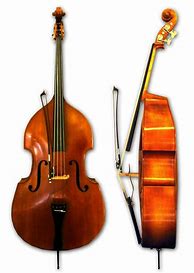 Image result for Bass Violin