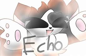 Image result for Ech Cat Meme
