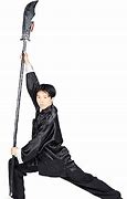 Image result for Kung Fu Types
