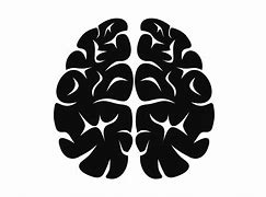 Image result for Brain Neurons Icon