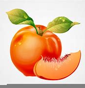Image result for Georgia Peach Clip Art