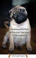 Image result for Pug Love Quotes