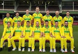 Image result for Cricket