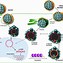 Image result for HBV Genome