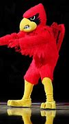 Image result for Louiville Mascot