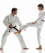 Image result for Backwards Karate Kick