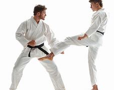 Image result for Karate Strikes