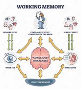 Image result for What Is Working Memory Theory