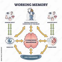 Image result for Memory Science