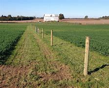 Image result for 5 Wire High Tensile Fence