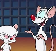 Image result for Pinky and the Brain House