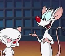 Image result for Pinky and the Brain Thinking