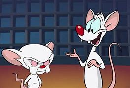 Image result for Pinky and the Brain Baccarat