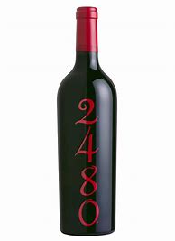Image result for Hollywood Vine Cabernet Sauvignon 2480 Napa Valley