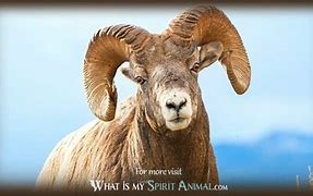 Image result for Ram Spirit Animal