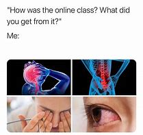 Image result for Funny Pics for Online Class