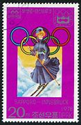 Image result for Winter Olympic Official Boycott