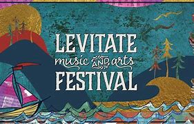 Image result for Levitate Music Festival