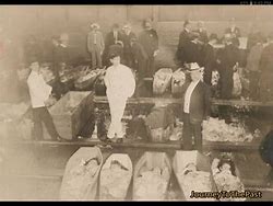 Image result for Titanic Deaths