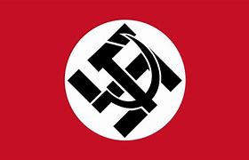 Image result for Nazbol Symbol