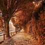Image result for Autumn London Aesthetic