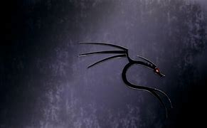 Image result for Kali Linux HD Wallpapers 1080P