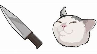 Image result for Dagger Cat Meme