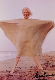 Image result for Marilyn Monroe Famous Shot