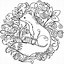 Image result for Galaxy Fox Coloring Page